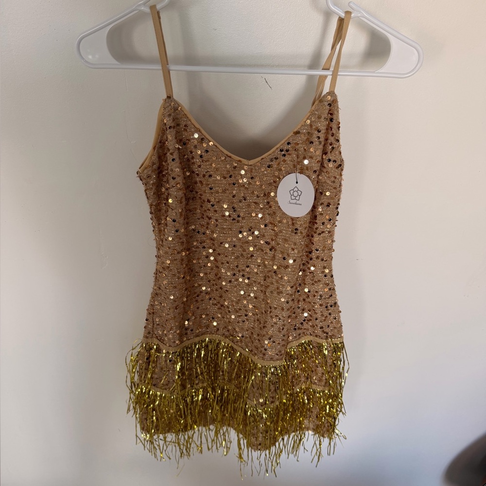 Gold Sequin Fringe Dress
